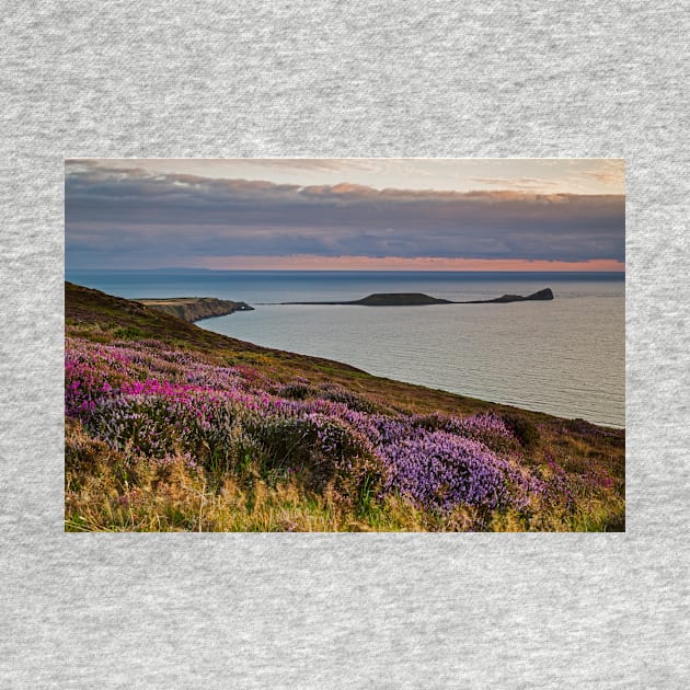 Worms Head and Rhossili Bay from Rhossili Down, Gower, Wales by dasantillo